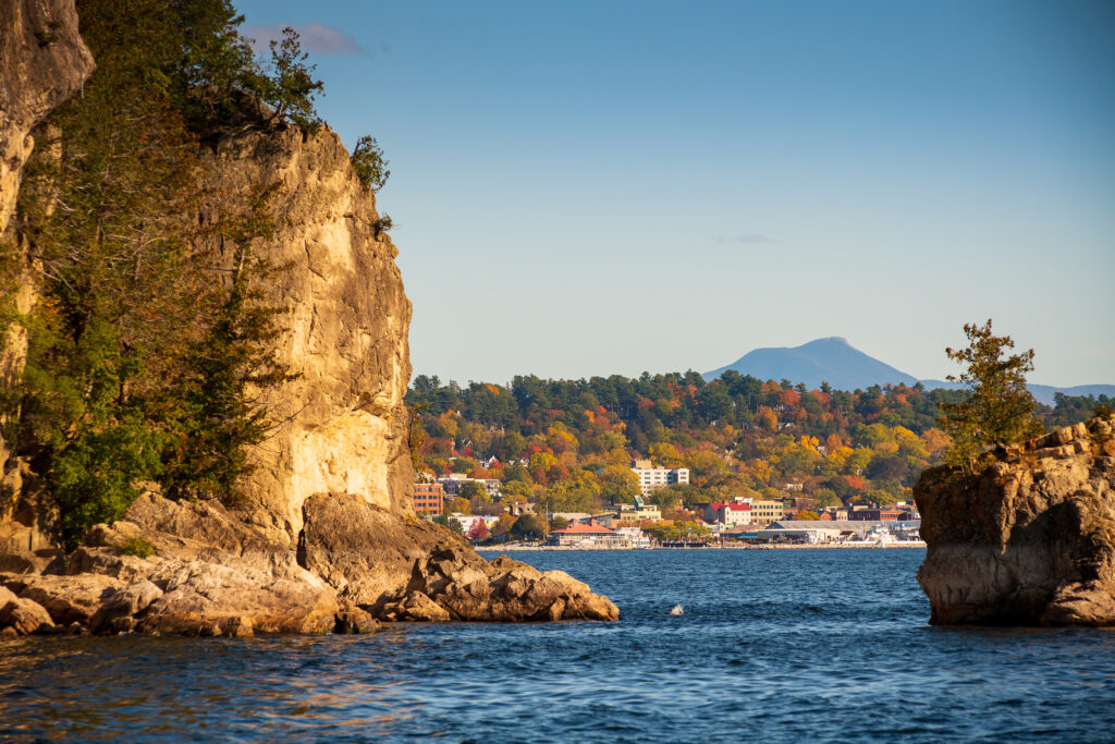 LCSG Research Webinar Series returns, learn about the events and register in advance