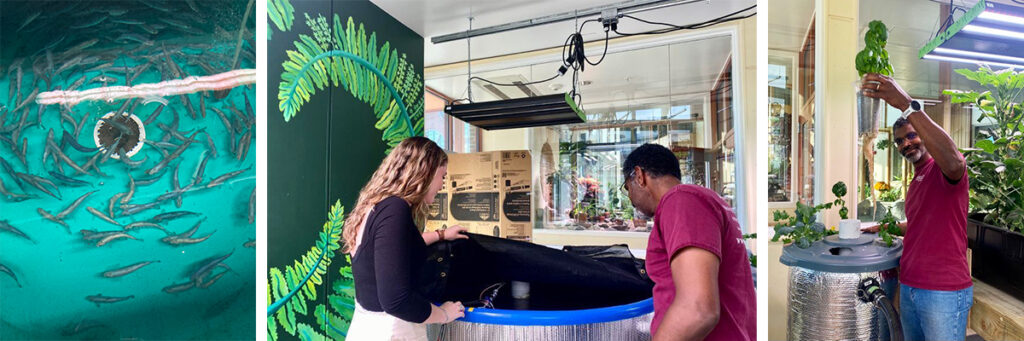 University of Vermont Students Design Aquaponics System; On Display in Aiken Center