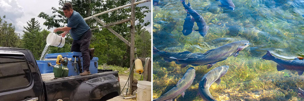 Rising Demand for Aquaculture in the Lake Champlain Basin