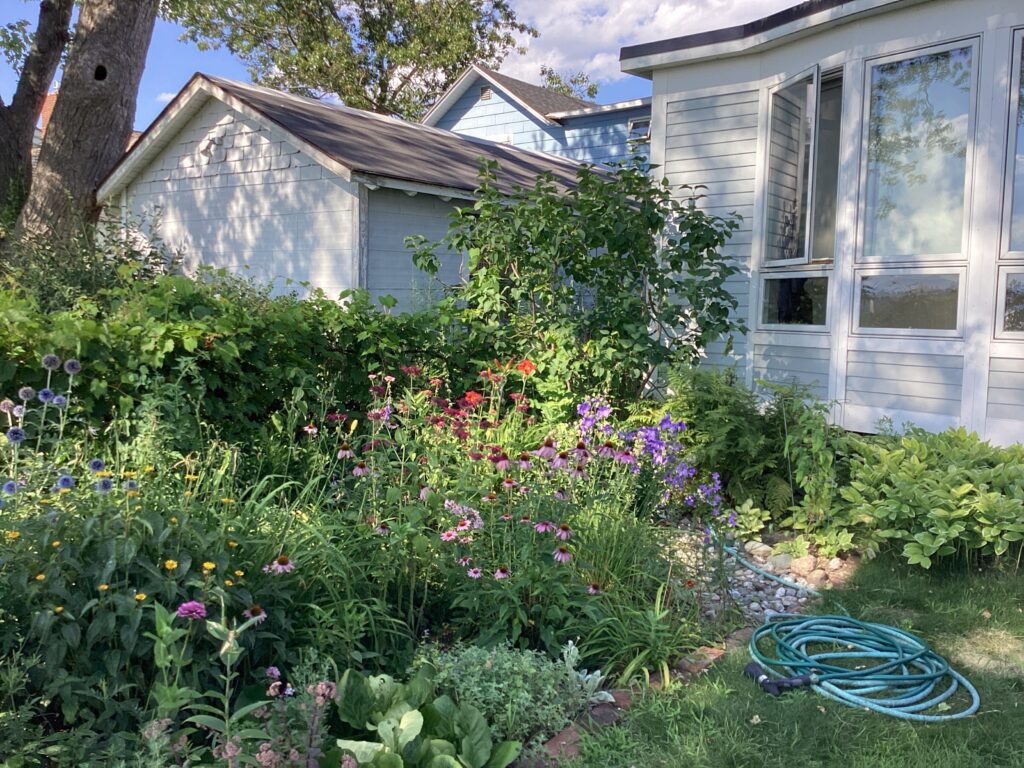 How can you go BLUE in the Lake Champlain basin? Guidance for Residential Stormwater Infrastructure How can you go BLUE in the Lake Champlain basin? Guidance for Residential Stormwater Infrastructure