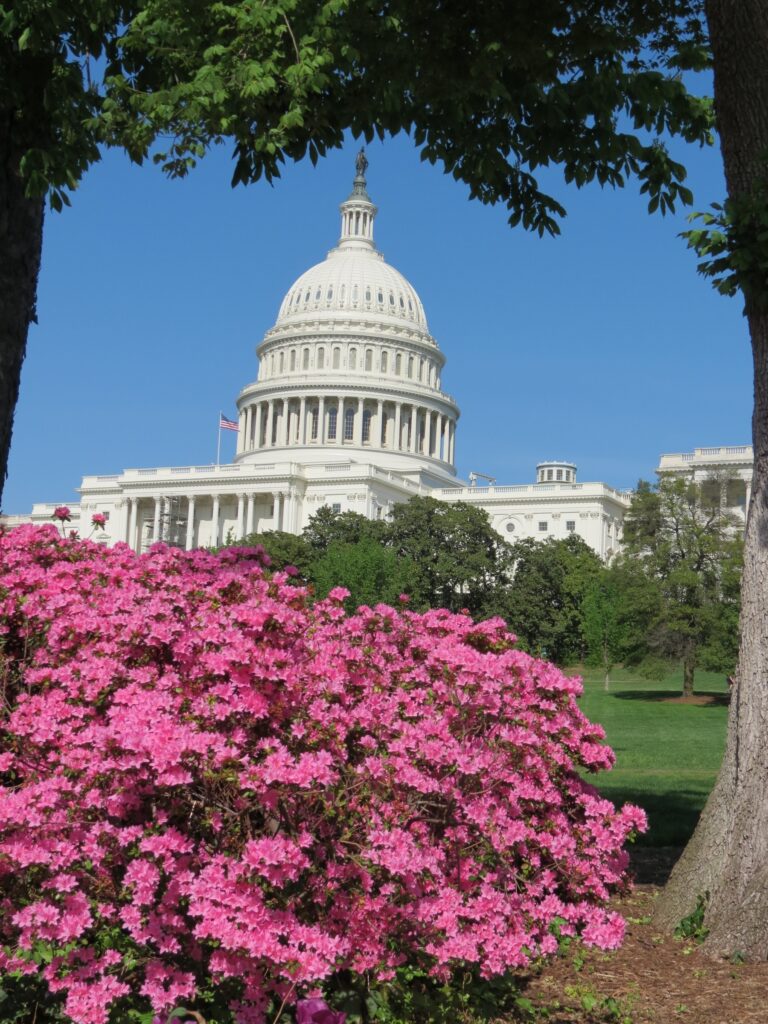 Knauss Alumni Robyn Smyth