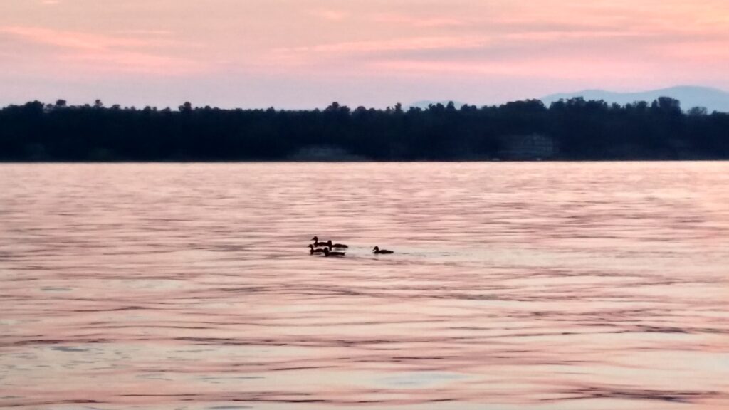 Public comments sought for Lake Champlain Sea Grant Review