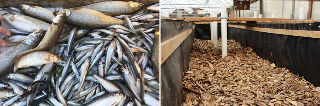 Lake Champlain Sea Grant Awarded $2.4 Million to Benefit Local Economies and Environment