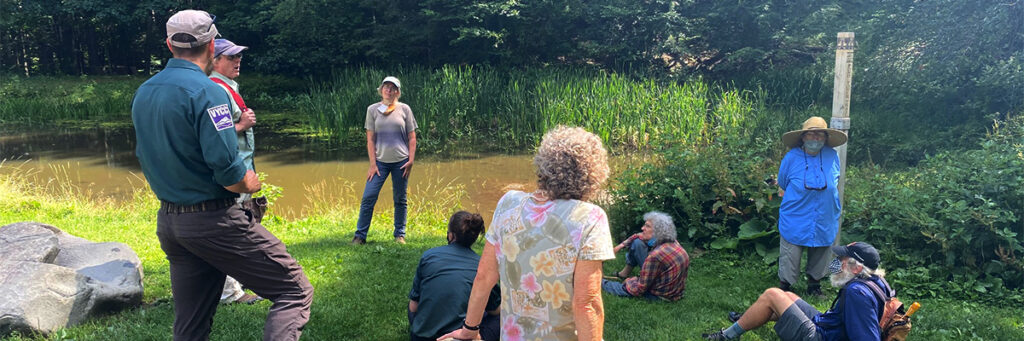 What is Green Infrastructure?