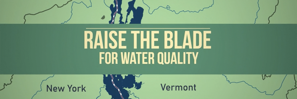 Mo Monday: Learn How Grass Grows