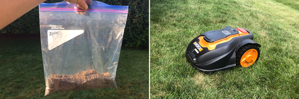 Mo Monday: It’s Time to Test the Soil