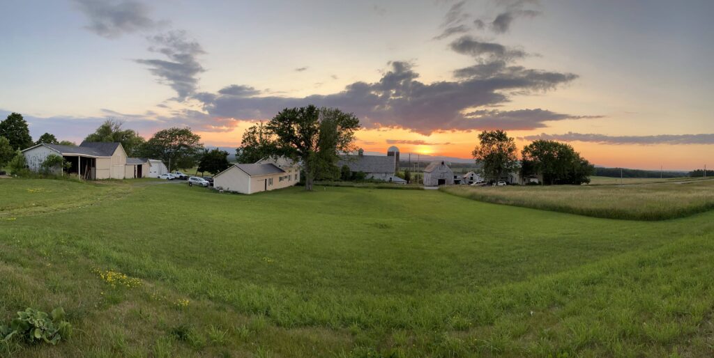 Get Ready for Spring Lawn Care—and Enter to Win an Electric Lawn Mower!