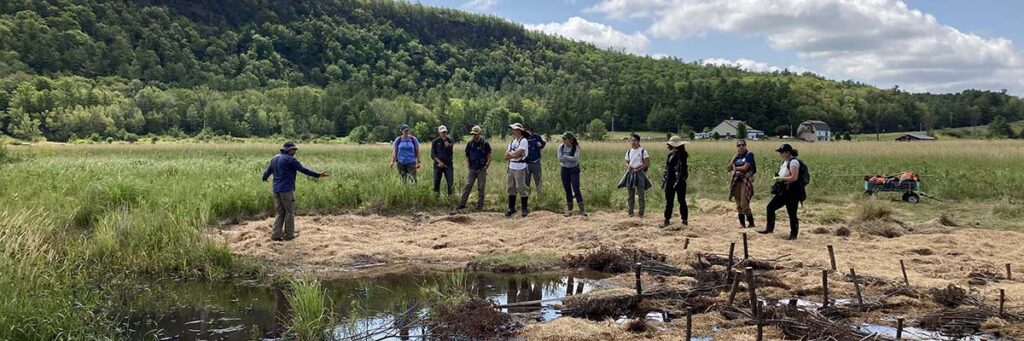 One Year Later: Restoration Roundup Podcast Reaches 1200 Listens