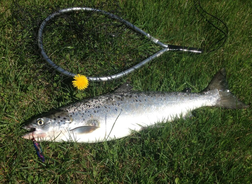 Fisheries Leadership Institute