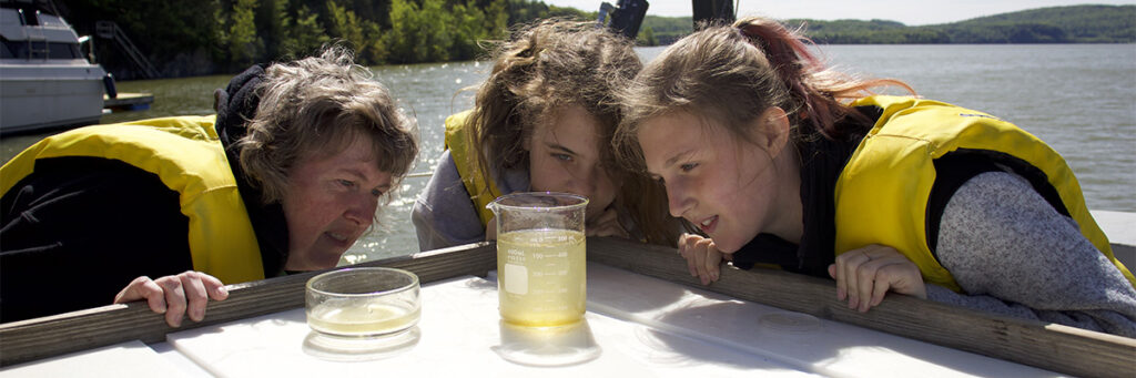 A Watershed as a Framework for Learning