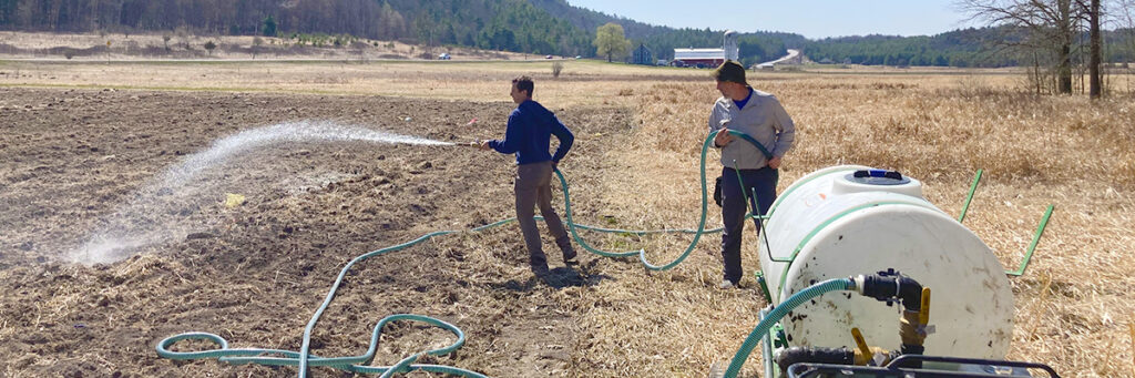 Restoring Forests From Scratch: Testing Direct Seeding