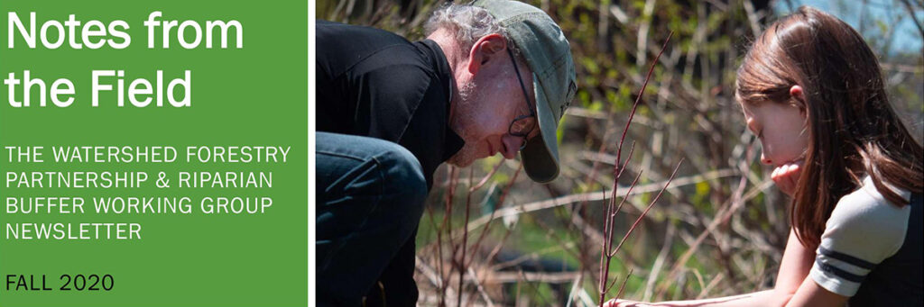 New Watershed Forestry Partnership Launches Listserv and Newsletter